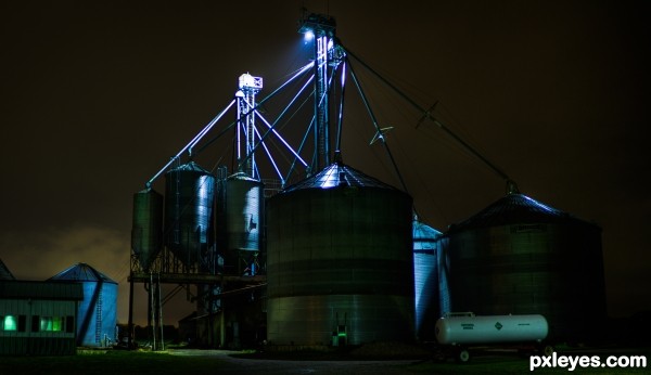 Nocturnal Farm